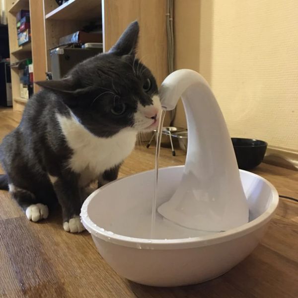 Dispensateur de chat automatique Swan Swan Fountain Father pour chat chien électrique Dispensateur pour animaux