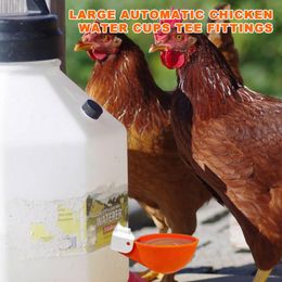 Automatische kippenwater beker Waterer Bowl Kit Farm Coop pluimvee Waterer Drinkwatervoeder voor kuikens Duck ganzen Turkije kwartel