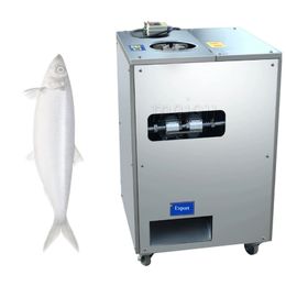 Équipement automatique de traitement du poisson, petit dissolvant d'échelle pour tuer le poisson, Machine de détartrage et de grattage