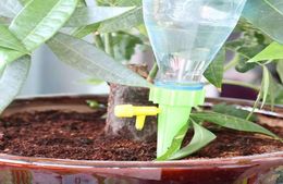 Plante automatique Waterer plane de maison jardin de fleurs arrosage arrosage du cône
