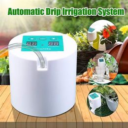 Dispositif d'arrosage automatique, outil d'irrigation goutte à goutte, pompe à eau, système de minuterie pour plantes succulentes Y200106277z