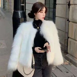 Automne et hiver nouvelle mode renard herbe femmes Haining court Version coréenne mince manteau de fourrure à la mode 263495