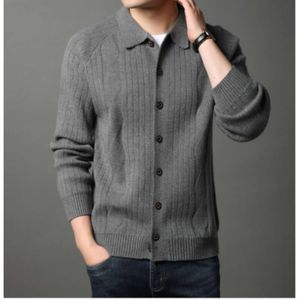Herfstvest Koreaanse versie gebreide topjas Nieuwe heren slim fit trui trend