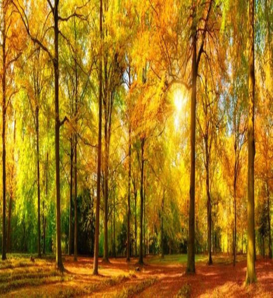 Forêt d'automne Fonds d'écran Golden Woods Huile Paint