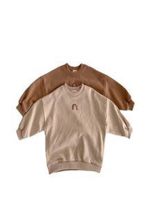 Autumn Toddler Baby Girls Boys Rainbow Borduurwerk Sweatshirts Tops Kids Lange Mouw T -shirt Sweatshirt kleding Outfits4179579