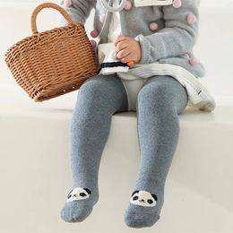 Automne hiver japonais coréen dessin animé bébé Terry épaissi collants coton peigné doux polyvalent infantile chaud Leggings chaussettes 231225