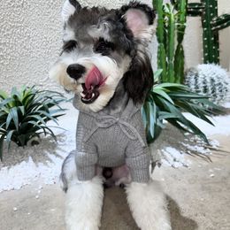 Herfst Winter Gebreide Hond Truien Zachte Comfortabele Huisdier Kleding Schnauzer Pommeren Teddy Kleding