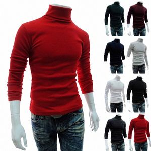 Automne hiver hommes pull hommes col roulé couleur unie pulls hommes vêtements Slim Fit mâle tricoté chandails pull homme MY277 4850 #