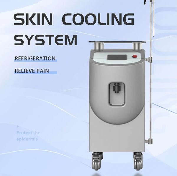 Utilisation auxiliaire Refroidissement de la peau à air froid Traitement au laser postopératoire Soulagement de la douleur Cryo Confortable 2 têtes Réfrigérant -30 degrés Dispositif de refroidissement de la peau