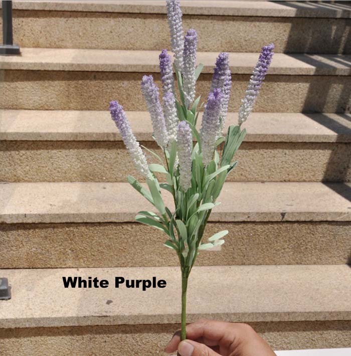 White Purple