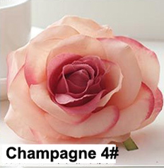 Champagne 4#