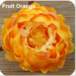 frukt orange