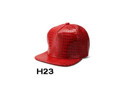 H23