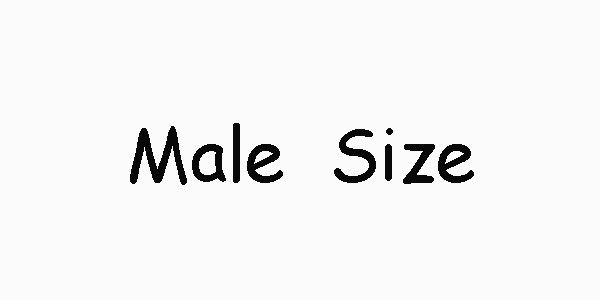 حجم الذكور