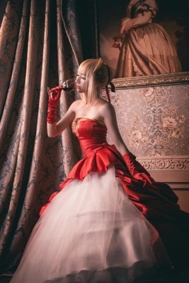 100 Real Blue Red Fate Saber Anime Ball Gown Medieval Dress Court Renaissance Gown Belle Ball From Greatwallnb 129 95 Dhgate Com