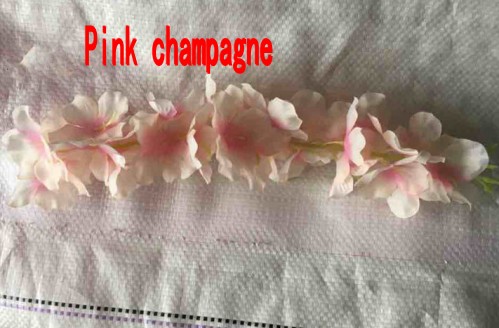 Champagne rosa