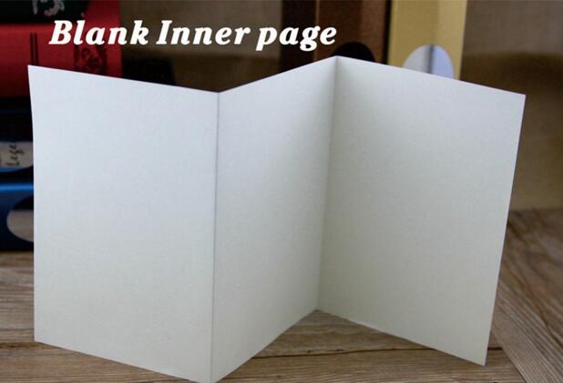 Blank Z fold insert