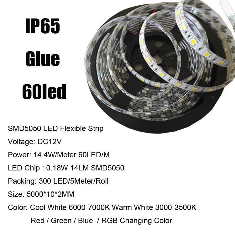 SMD5050 60LED/M IP65