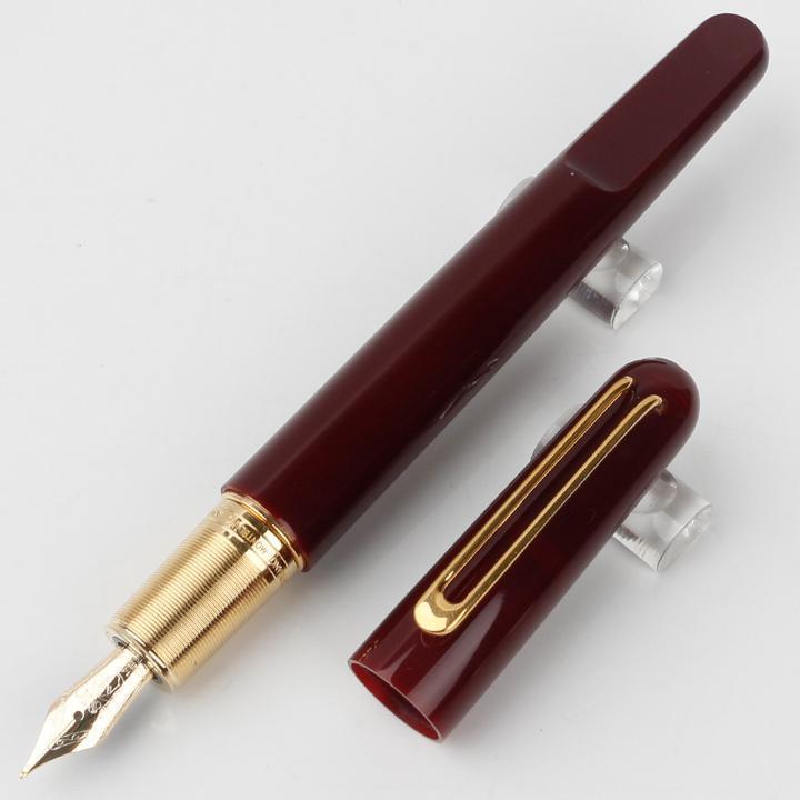 Fountain Pen 3