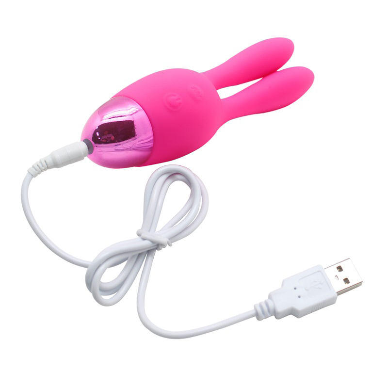 roze usb charge