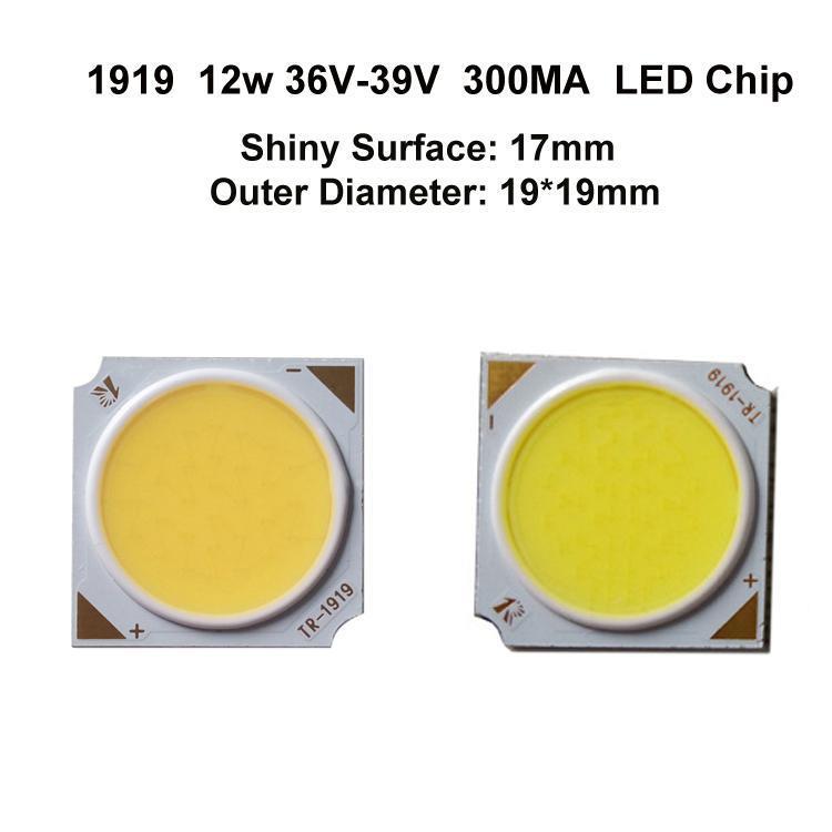 1919 12W 300mA 17mm Chip LED