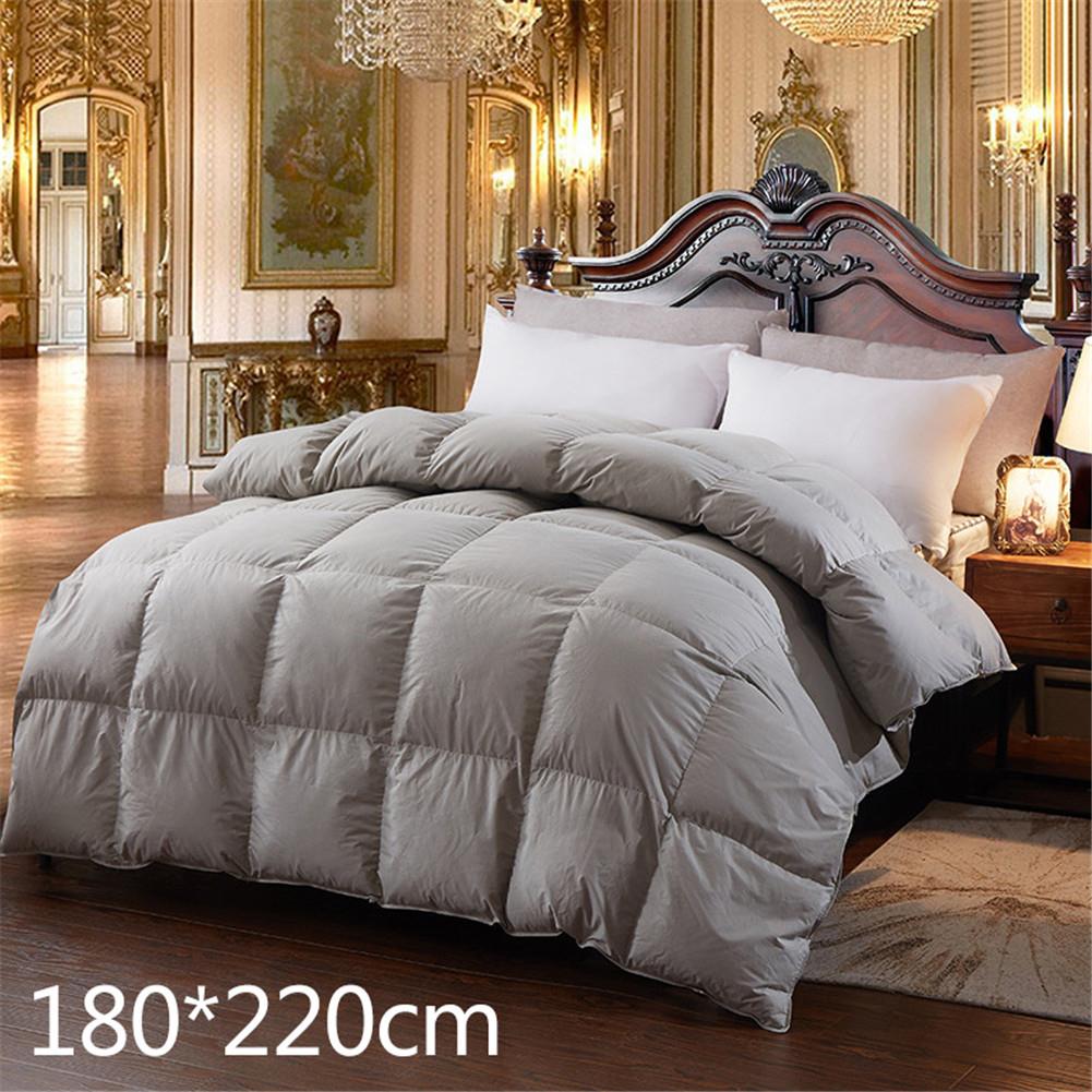 2020 New Hot Down Comforter For Winter Autumn Duvet Insert