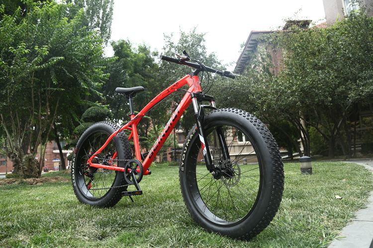 beinaiqi cavalier fat bike