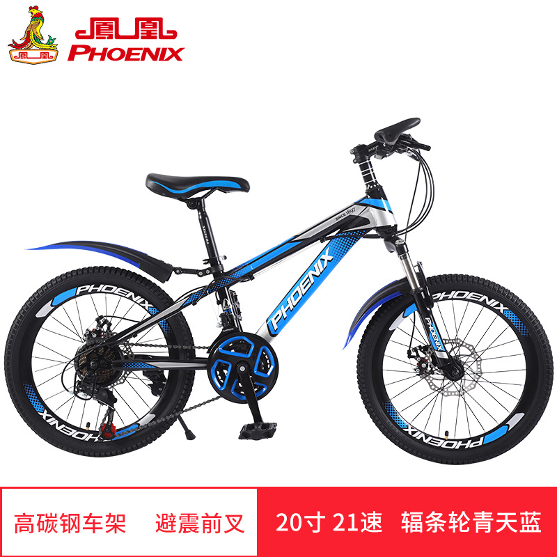 phoenix mountain bike