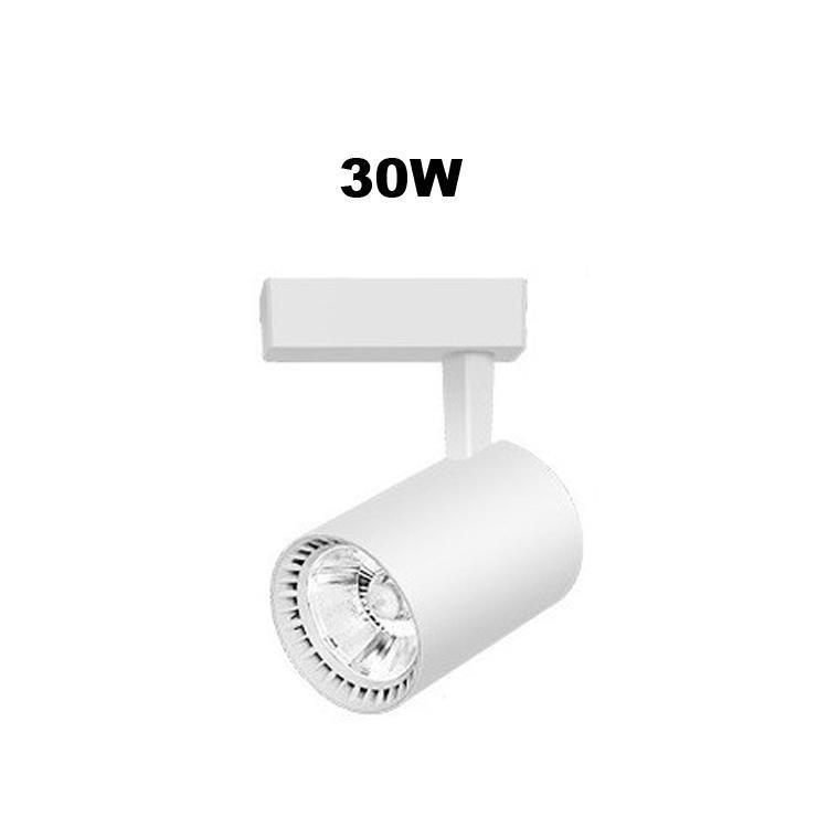 30w witte shell