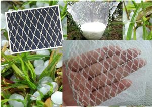 Filet anti-grêle pour vergers en Nylon, filet de jardin en maille blanche, filet de 8mm, filet de protection pour potager