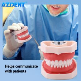Modèle de résine dentaire azdent Modèle de dents typodont amovible Modèle pour les dentistes pratiquer les enfants