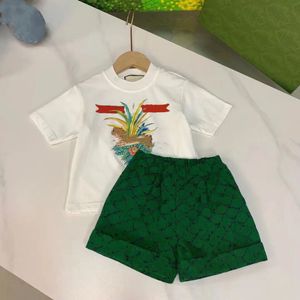 Babyjongens meisjes kleding sets plaid peuter baby zomerkleding kinderen outfit korte mouw casual t -shirt shorts aaa dhgate