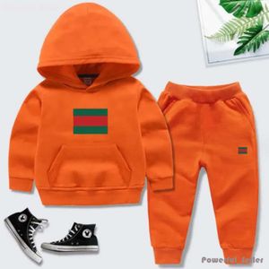 Babykledingsets Kind Tweedelige Kindhoodie Lange broek Kinderkleding Jongens en meisjes Designer Trui Kinderen met lange mouwen Luxe merk Lente- en herfstset 1710