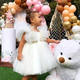 Vestido de niña 0-5y Princess Dress Baby Baptism Dress Lace Tutu Net Yarn Tutu Girl Birthday Party Dress Vestido 240425