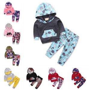 Babymeisje outfits baby meisjes hooded tops broek 2 stks sets bloem pasgeboren trainingspakken ontwerper boutique baby peuter kleding 4lots DW4805