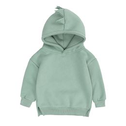 Babymeisjes jas kinderen jongens warme fleece jas dinosaurus capuchon spring meisje kleren baby hoodies kinderen kleding