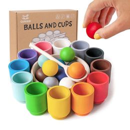 Bébé Montessori jouet en bois arc-en-ciel balle et tasses jeux de tri des couleurs moteur fin éducation précoce jouets d'apprentissage cadeaux pour enfants 240223