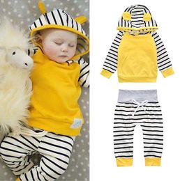 Baby Suits Boys Girls Bloemen Print Suits Baby Kleding Set Hoddies Broek Baby Lange Mouwen Outfits Ins Clothing Set