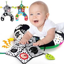 Babybuiktijd kussenspeelgoed zwart wit hoog contrast Montessori voor baby's geboren zuigelingen 06 612 1218 maanden 240511