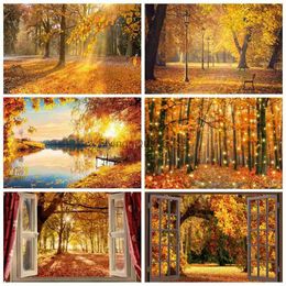 Achtergrondmateriaal Herfst Bos Zon Natuur Landschap Achtergrond voor Fotografie Herfst Esdoorns Bladeren Boom Boerderij Baby Portret Foto Achtergrond Decor YQ231003