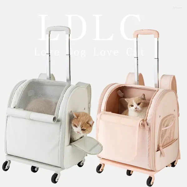 Sac à dos mode de luxe de luxe à bagages pour animaux de compagnie portables sac de transport extérieur chien voyage chaud transport