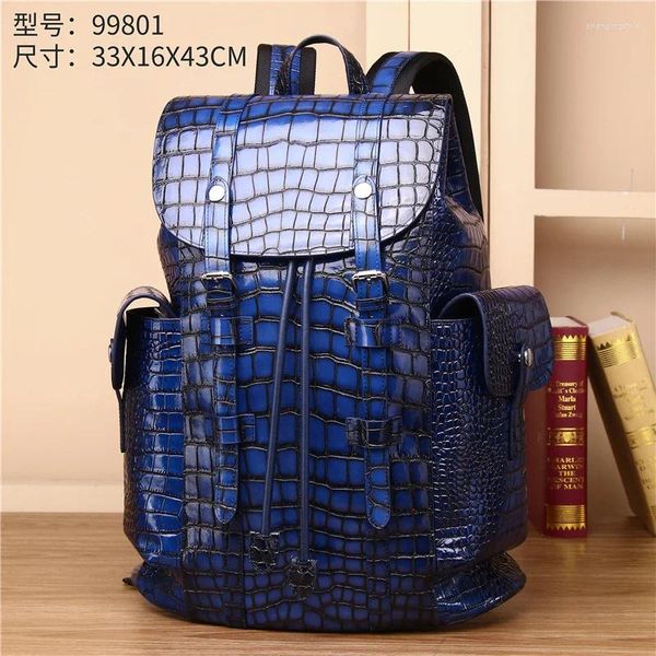 Sac à dos en cuir authentique Crocodile mate avec grande capacité Couleur d'activité Effacer le sac d'ordinateur de voyage livre haut de gamme