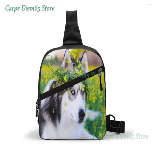 Sac à dos sac à dos paquet de poitrine de chien husky sibérien