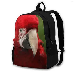 Sac à dos True Vrai Macaws Bird-Ara School Sac à grande capacité ordinateur portable 15 pouces Macaw Bird Eyes Portrait Red Green Poraphy Wild