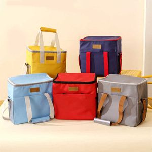 Backpackpakketten 15l grote picknicklunch geschikt voor damesvoedsel Keep frisse Handige handige strandkoeler ijsreizen Schouderbezorgtas P230524