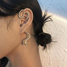Boucles d'oreilles dos 2023 géométrique rétro oreille Clips en forme de serpent personnalisé hip-hop discothèque pas de manchette percée pour les femmes