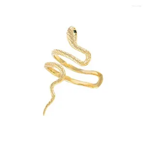 Dos boucles d'oreilles grimpeur chenille serpent pince sur boucle d'oreille manchette d'oreille pour les femmes Non percé Animal thème bijoux goutte