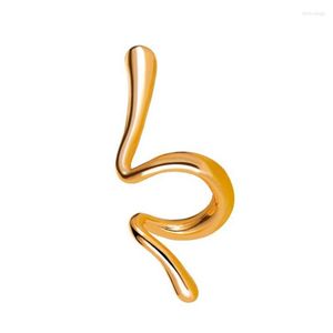 Backs oorbellen onregelmatige spiraalvormige slangengolfvormige oordebouw voor vrouwen geen doorboorde clip chique punk zonder piercing oormanchet wrap sieraden