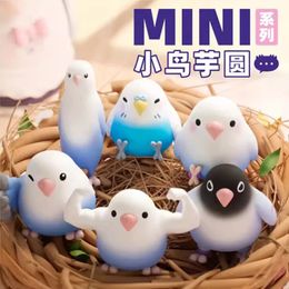 Bad Birdie 3 Figure Mini Taro Balls Bird Blind Box Toy Mystery Box Collection Modèle Kawaii Model Table Cadeau surprise 240516