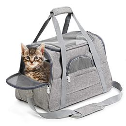 Sac chat Portable sac pour animaux de compagnie grande capacité sac pour chien chat Portable en bandoulière chat Cage toile chien sac à dos 240103